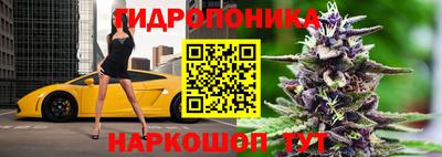 крисы Рыбинск