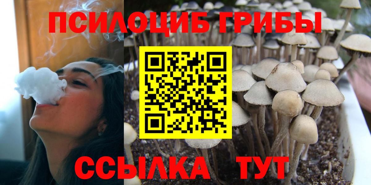 Галлюциногенные грибы Psilocybine cubensis Нижневартовск