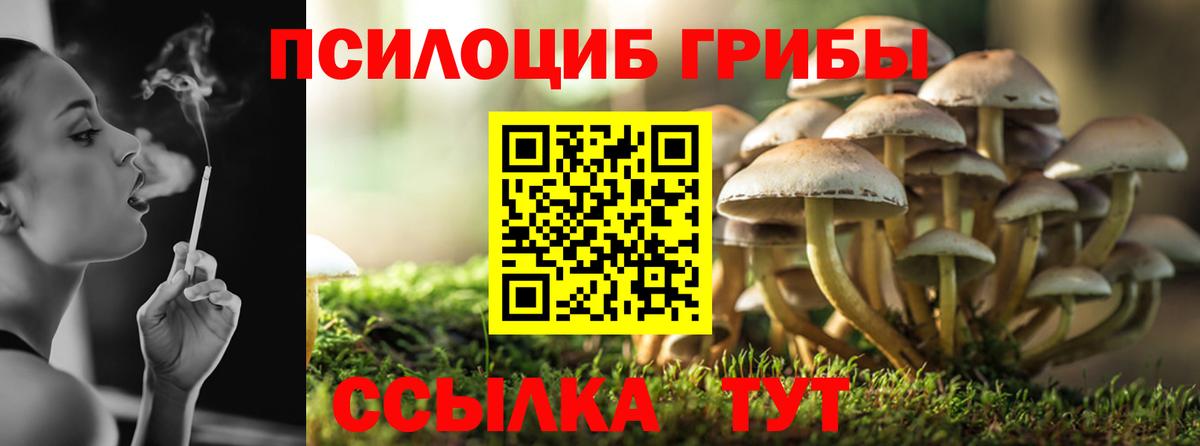 Галлюциногенные грибы Magic Shrooms  Псилоцибиновые грибы ЛСД  где продают   Вход с VPN  Нижневартовск 